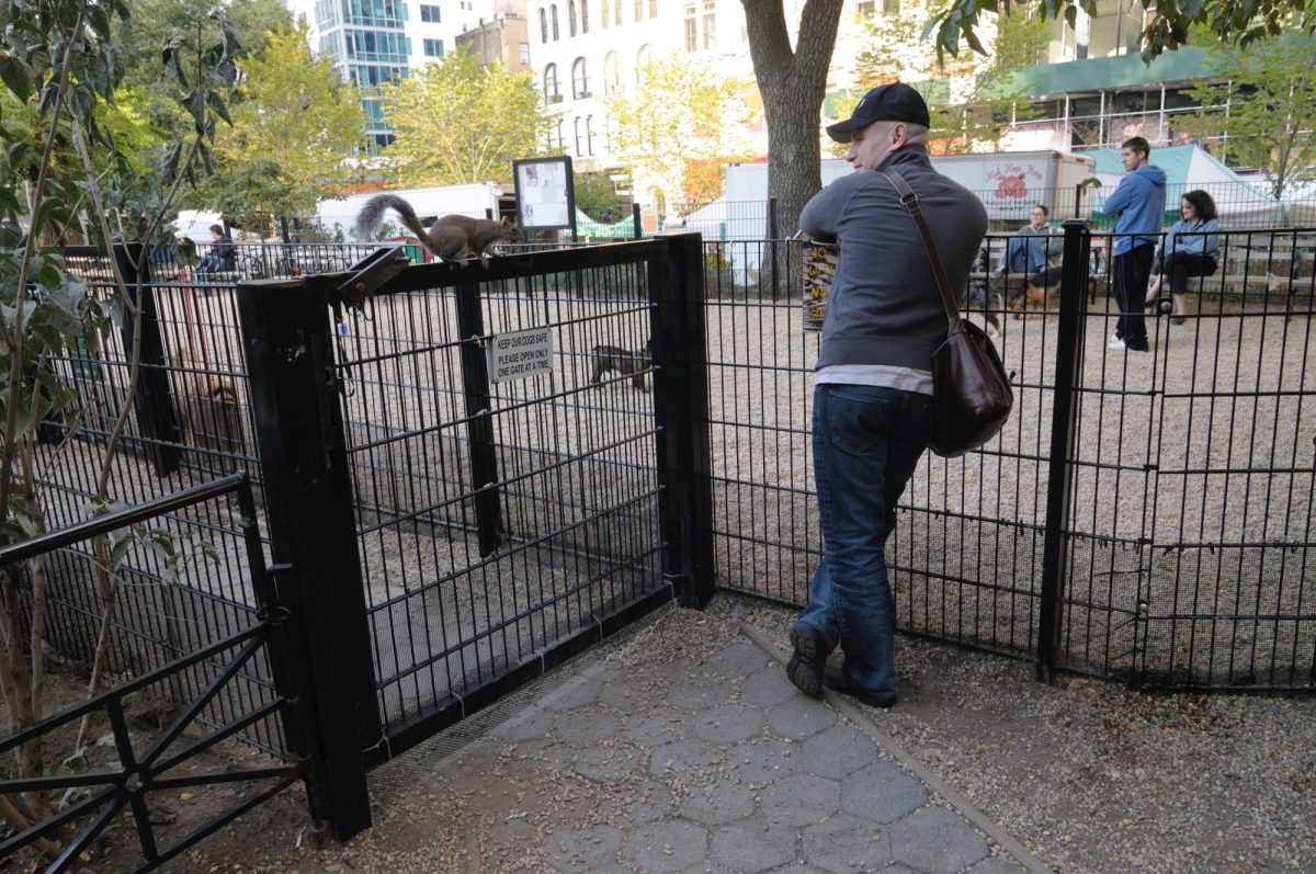 ニューヨーク、マンハッタンのドッグ・ラン ニュータウン・スケッチ