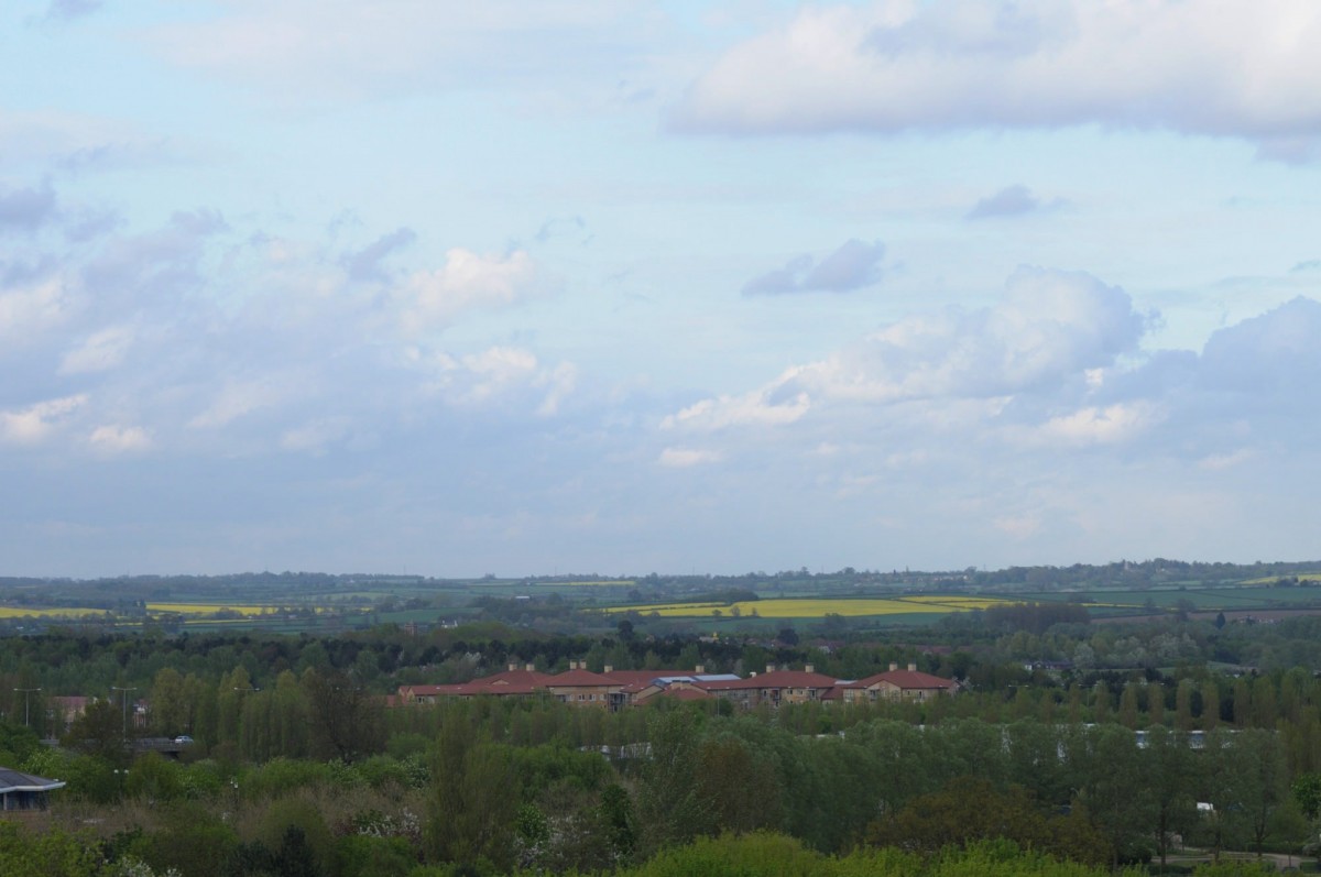 ミルトン・キーンズ:拡大し続けるイギリス最大のニュータウン ニュータウン・スケッチ