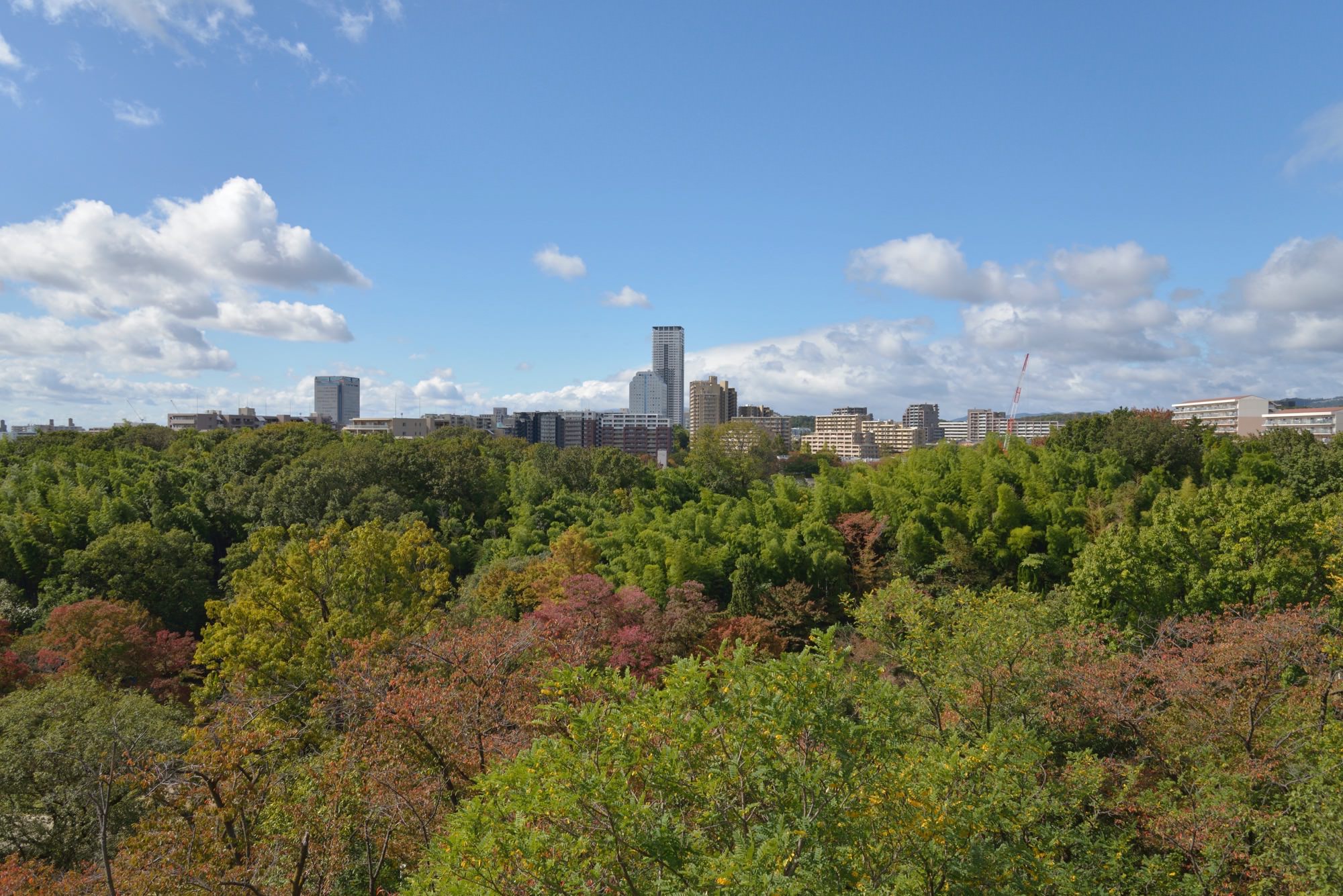 千里まち歩き 千里中央公園コース 団地パンまつり まち歩き ニュータウン スケッチ