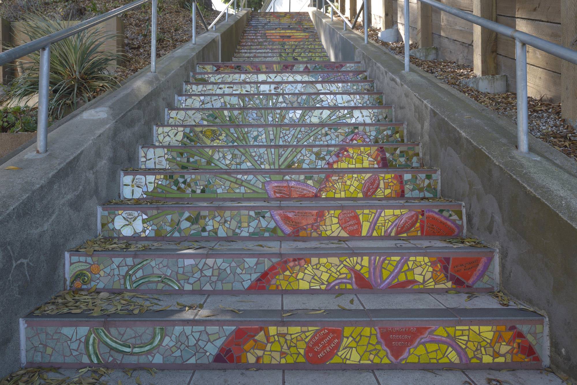 サンフランシスコのサンセット地区とモザイク階段のアート ニュータウン スケッチ